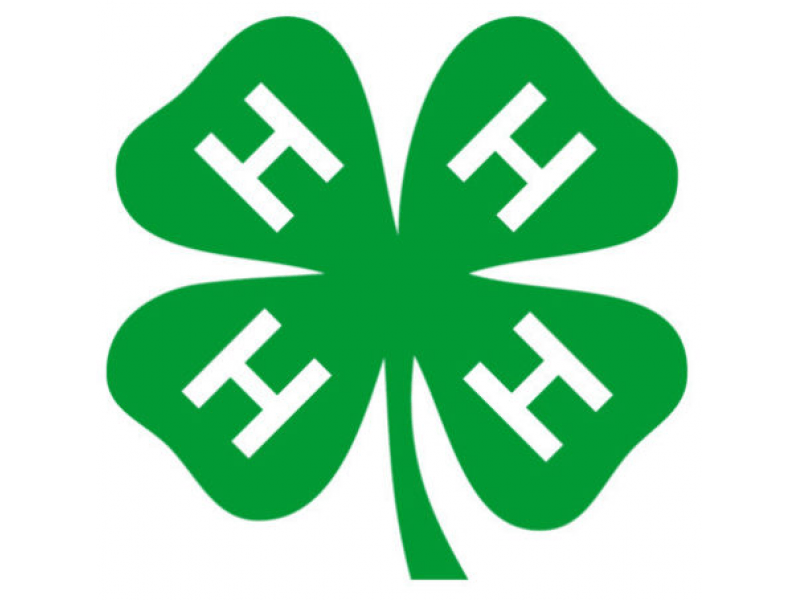 4-H Sponsorship