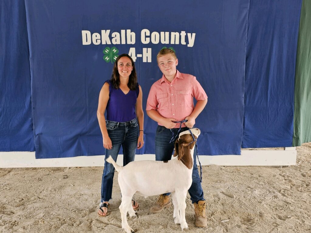 DeKalb County 4H Blue Ribbon Livestock Auction