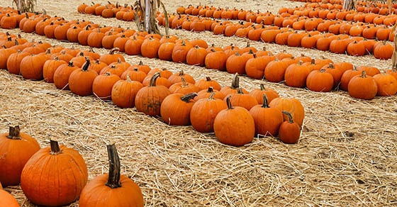 4 tips to help seasonal businesses enhance cash-flow management
